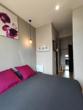 Chambre sanitaire privé, plein centre-ville de Nice - HUBERT